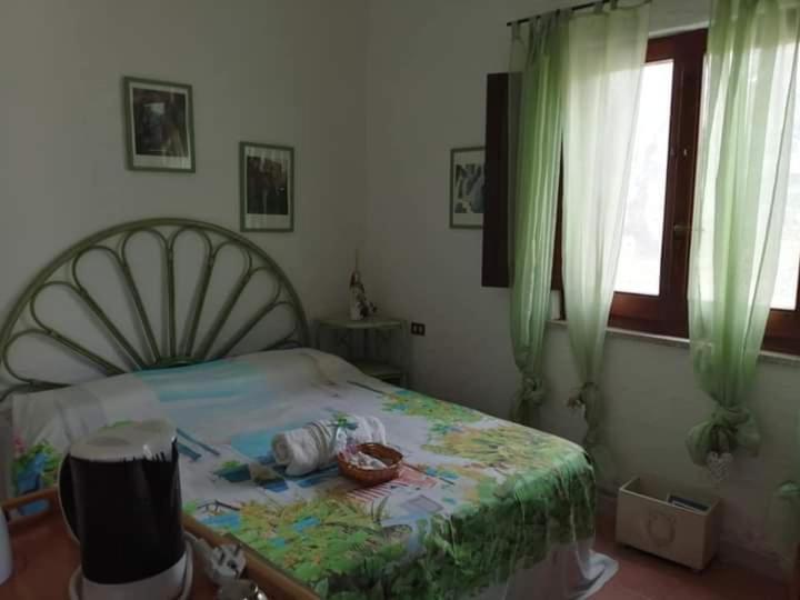 圣特雷莎加卢拉 Eucaliptus Farm Retreat旅馆 外观 照片