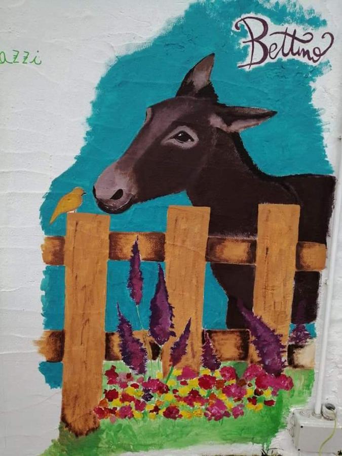 圣特雷莎加卢拉 Eucaliptus Farm Retreat旅馆 外观 照片