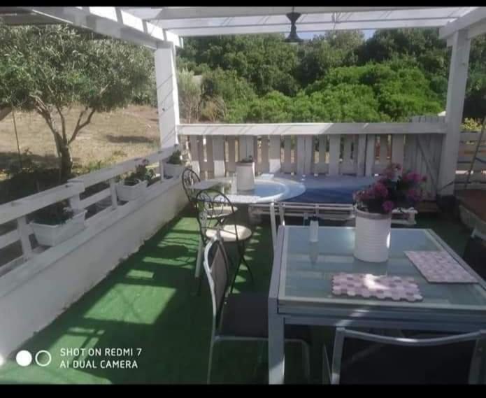 圣特雷莎加卢拉 Eucaliptus Farm Retreat旅馆 外观 照片