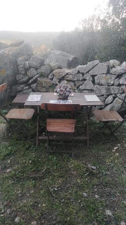 圣特雷莎加卢拉 Eucaliptus Farm Retreat旅馆 外观 照片
