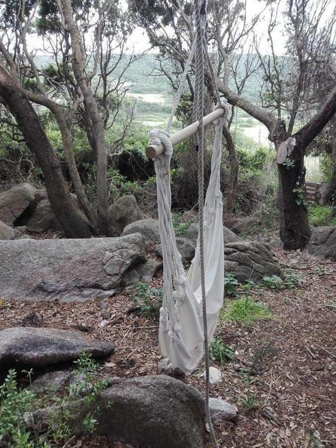 圣特雷莎加卢拉 Eucaliptus Farm Retreat旅馆 外观 照片