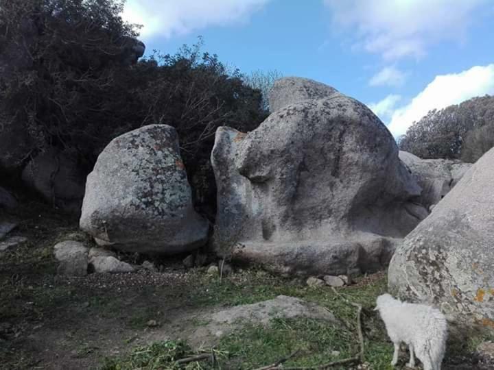 圣特雷莎加卢拉 Eucaliptus Farm Retreat旅馆 外观 照片
