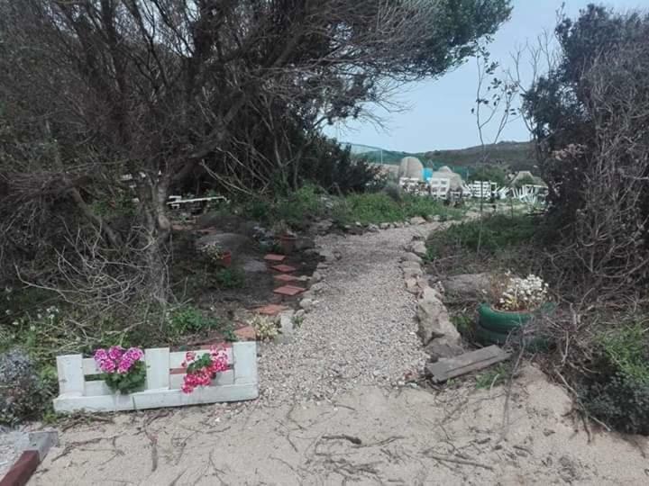 圣特雷莎加卢拉 Eucaliptus Farm Retreat旅馆 外观 照片