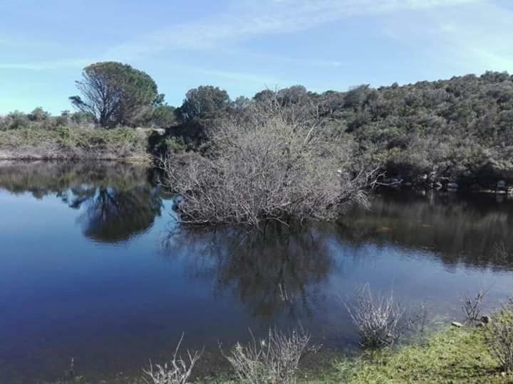 圣特雷莎加卢拉 Eucaliptus Farm Retreat旅馆 外观 照片